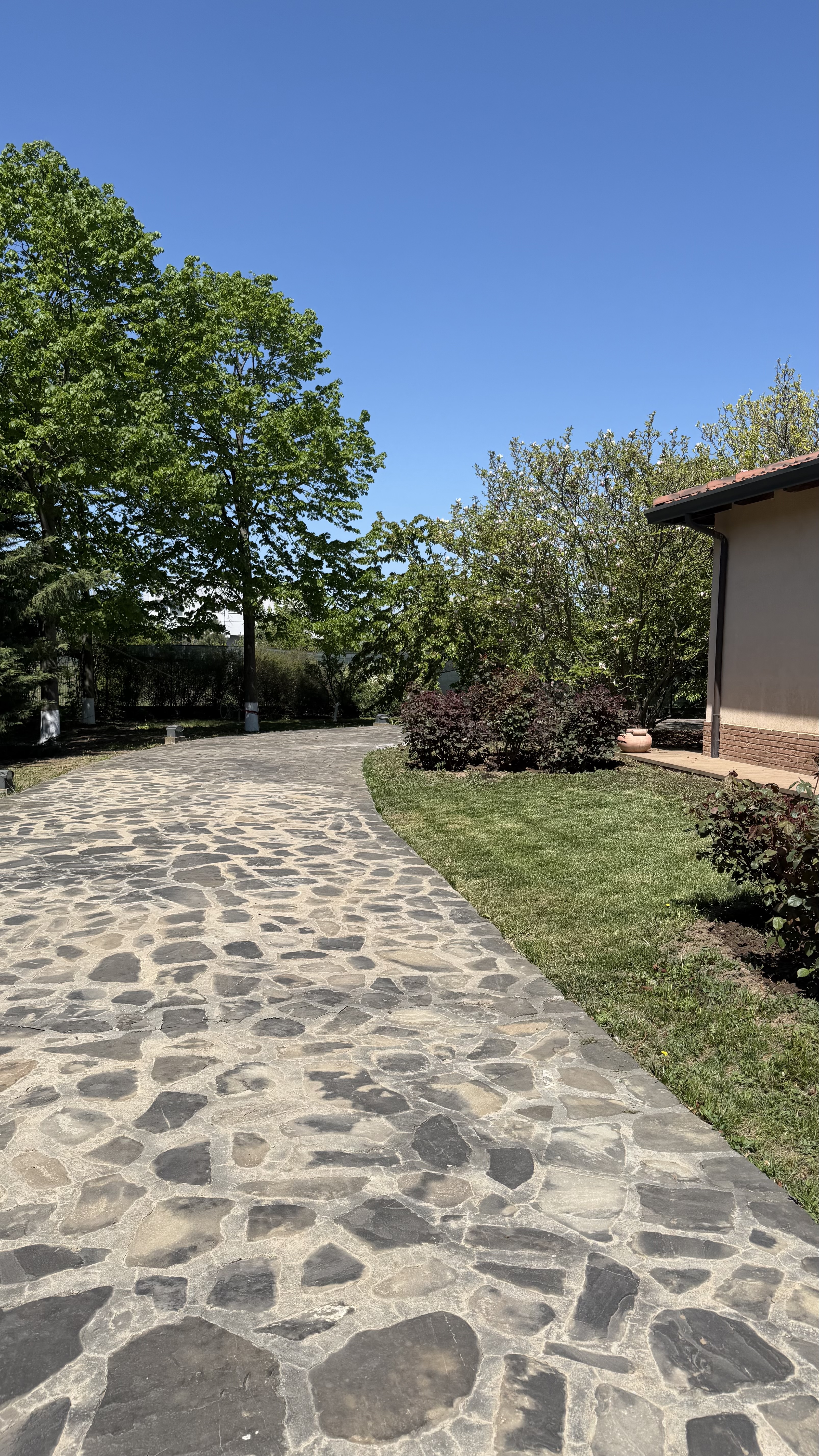 Villa for sale Cernica — G+1, 460 sqm, 6,500 sqm land, swimming pool — photo 1