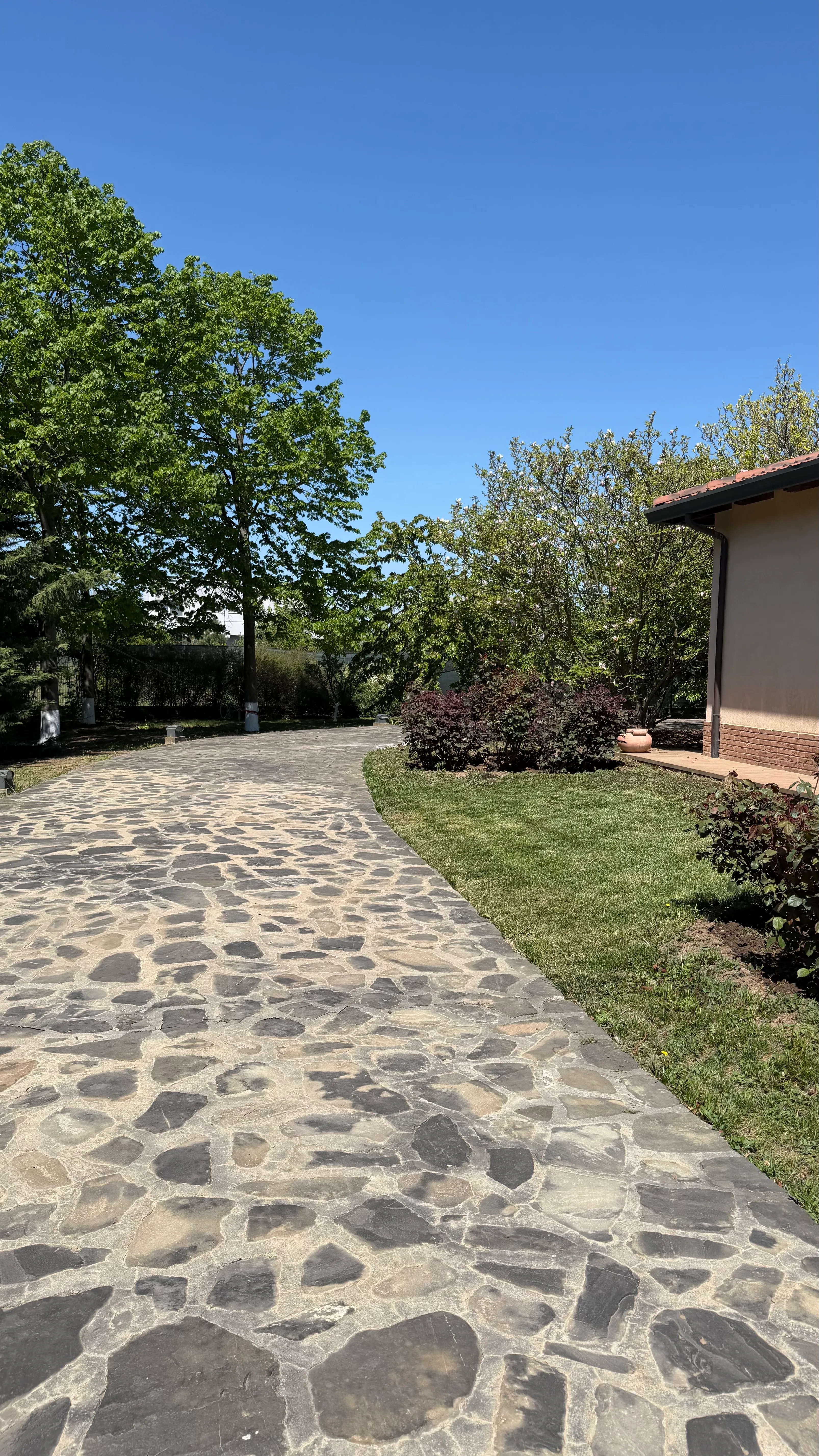 Villa for sale Cernica — G+1, 460 sqm, 6,500 sqm land, swimming pool — photo 1